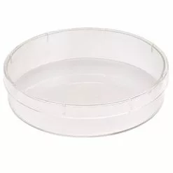 Round Plastic Petri Dish – 053C