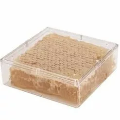 Cut Comb Honeycomb Container – 156C