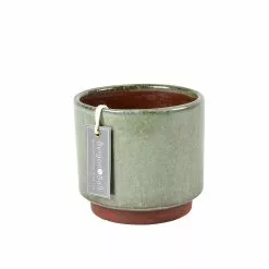 Burgon & Ball Malibu Glazed Pot - Green