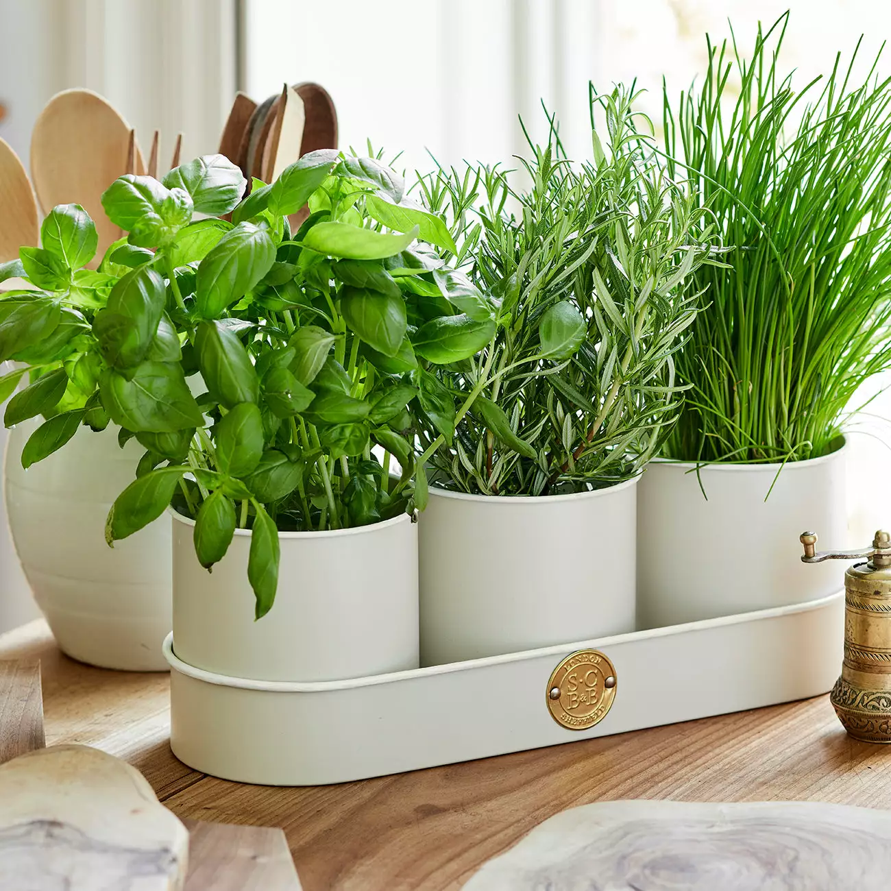 Burgon And Ball Sophie Conran Herb Pots - Buttermilk - Image 6