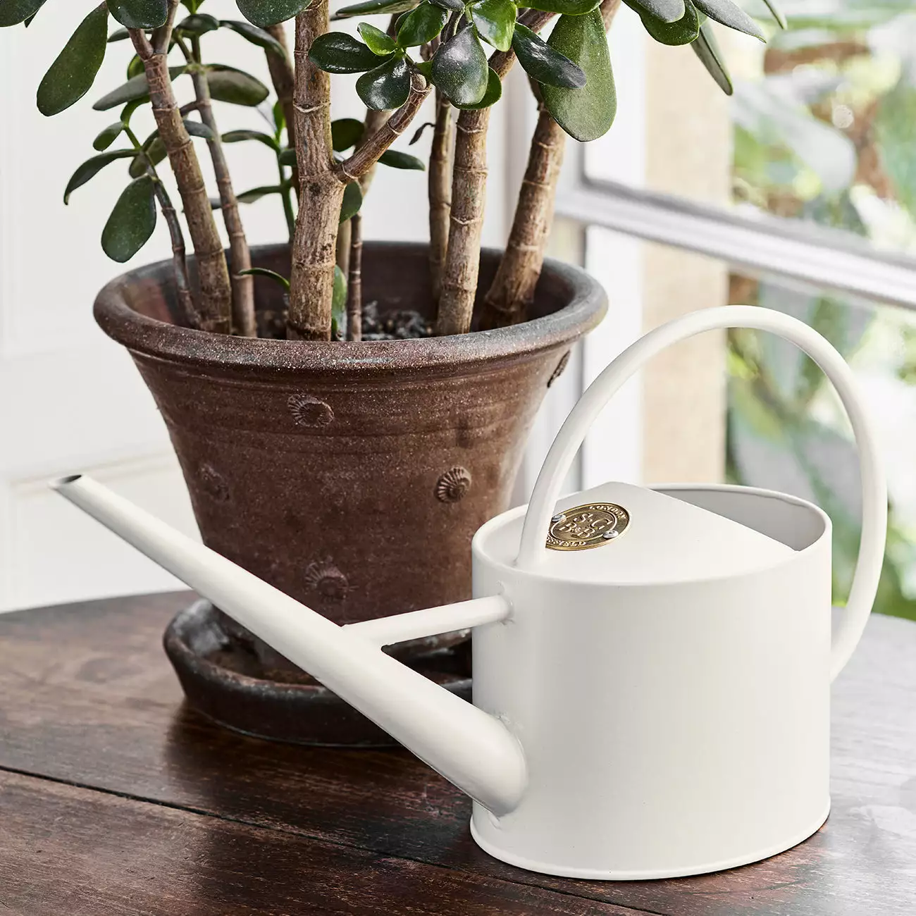 Burgon And Ball Sophie Conran Greenhouse & Indoor Watering Can - Buttermilk - Image 6