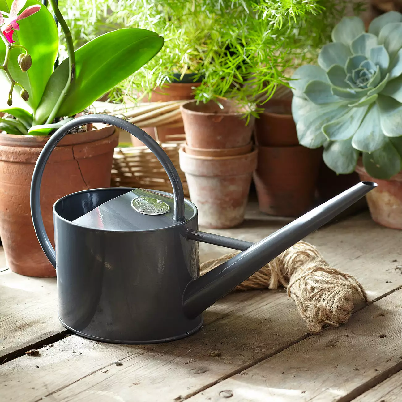 Burgon & Ball Sophie Conran Greenhouse & Indoor Watering Can - Grey - Image 5